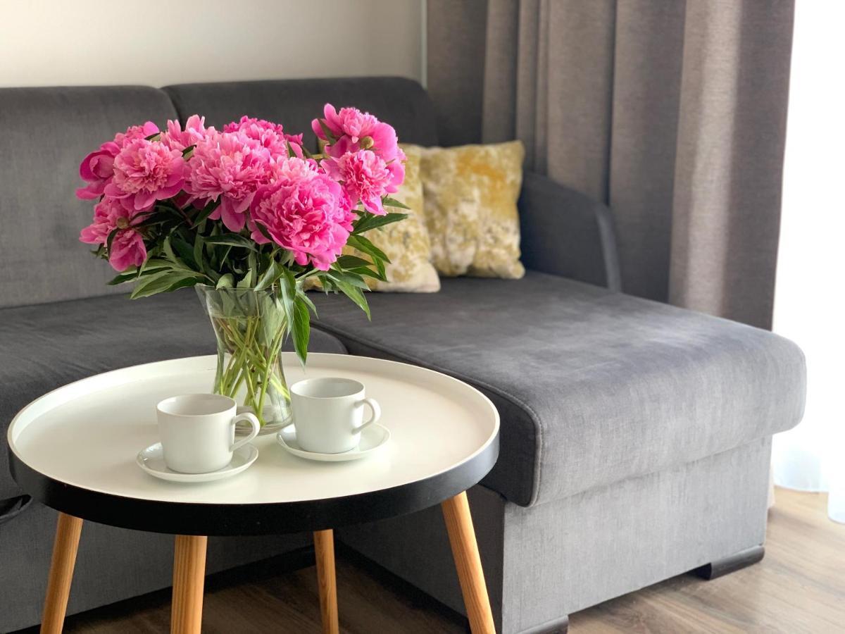 Apartament Livia 辛安诺泽蒂 外观 照片